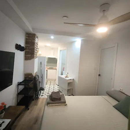 Loft En El Centro
